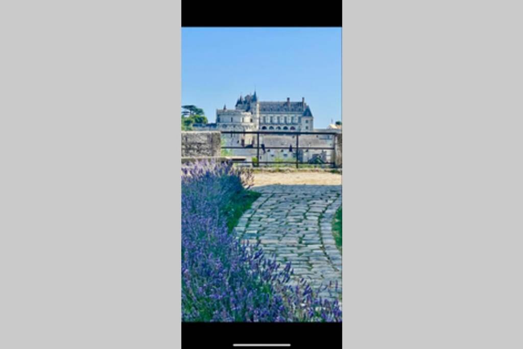Le 17 Entre Gare Et Chateau Amboise Exterior photo